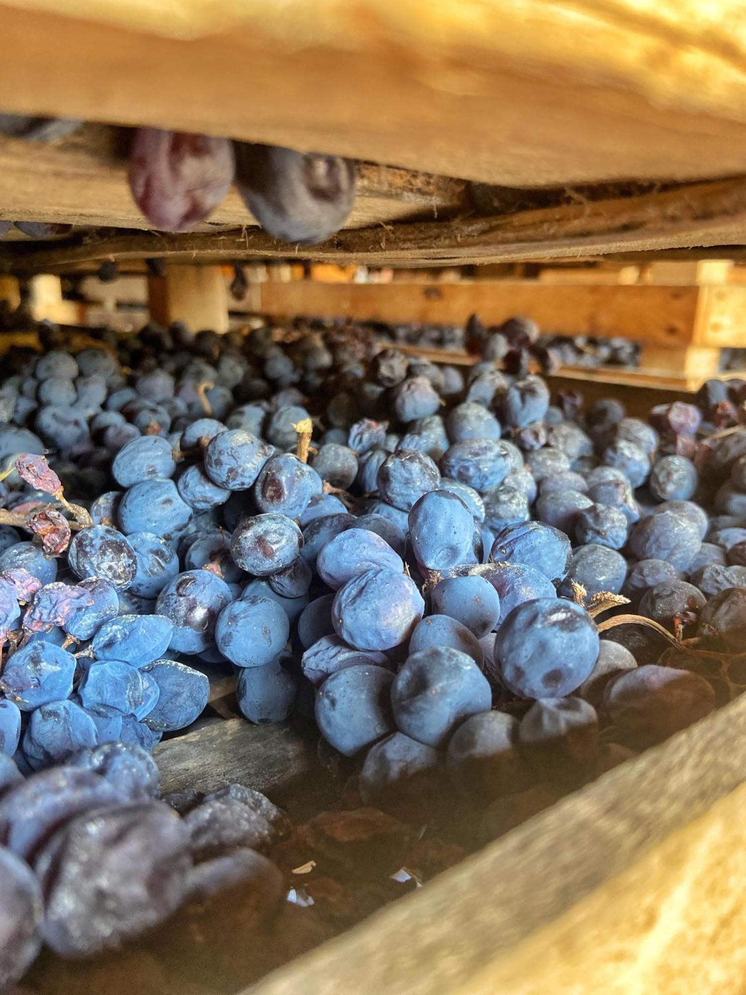 La Vineria Di San Mattia Villa เวโรนา ภายนอก รูปภาพ