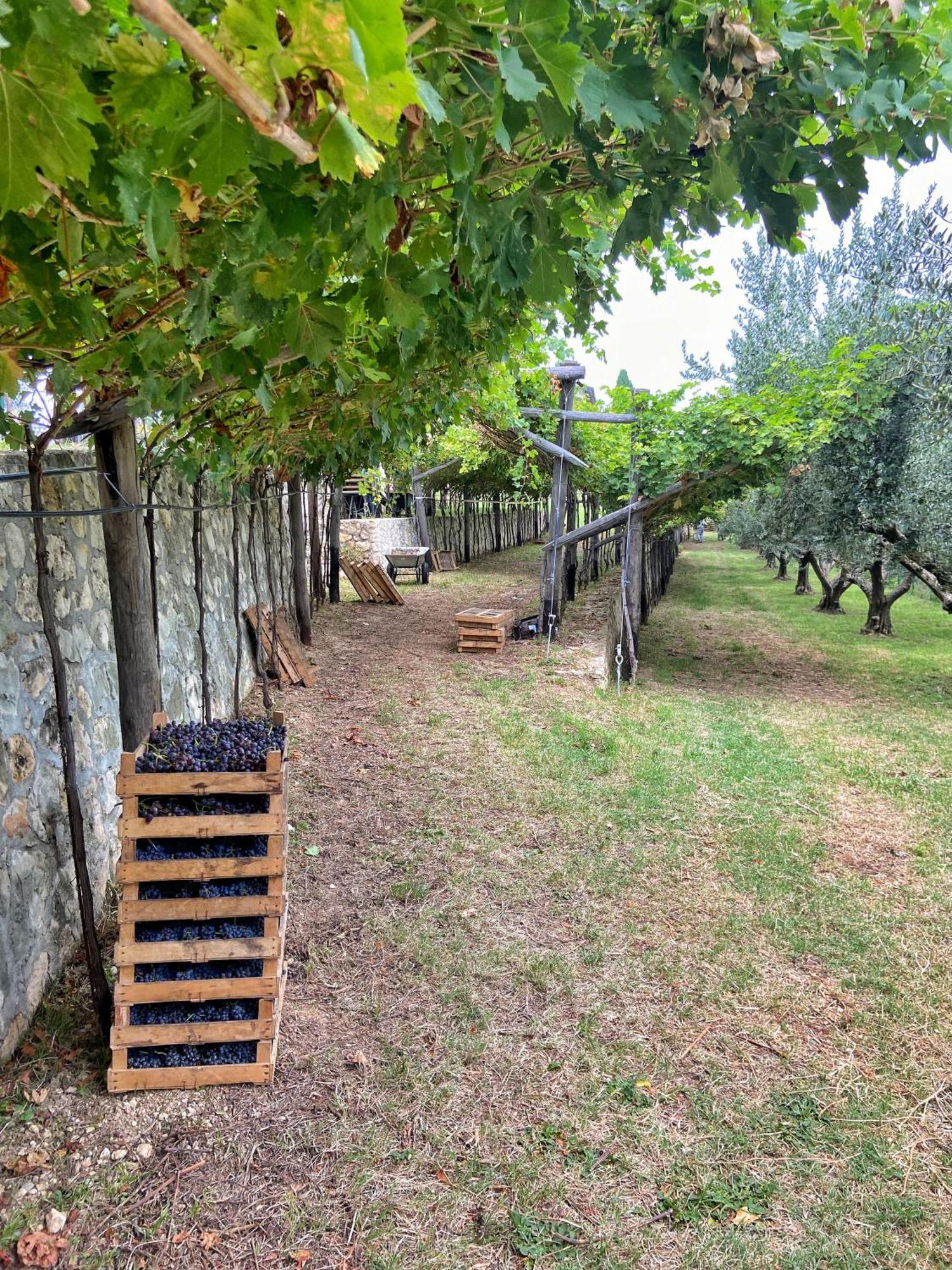 La Vineria Di San Mattia Villa เวโรนา ภายนอก รูปภาพ